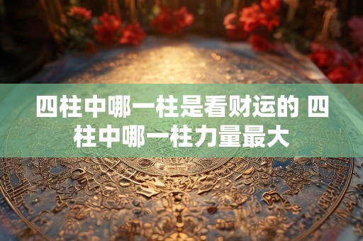 四柱中哪一柱是看财运的 四柱中哪一柱力量最大