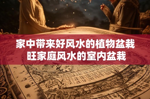 家中带来好风水的植物盆栽 旺家庭风水的室内盆栽