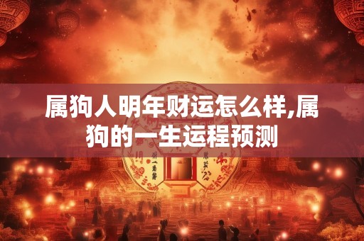 属狗人明年财运怎么样,属狗的一生运程预测