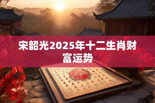 宋韶光2025年十二生肖财富运势