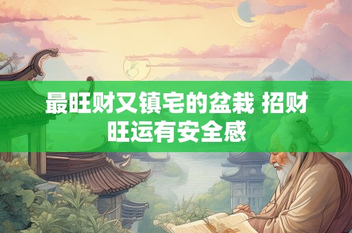 最旺财又镇宅的盆栽 招财旺运有安全感