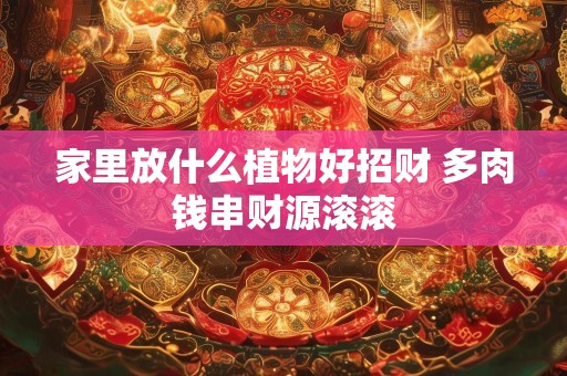 家里放什么植物好招财 多肉钱串财源滚滚