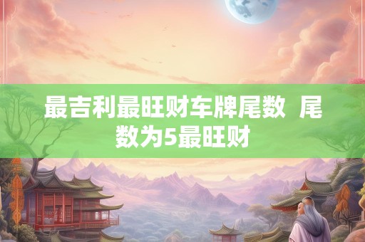最吉利最旺财车牌尾数  尾数为5最旺财