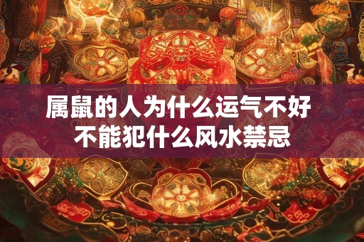 属鼠的人为什么运气不好 不能犯什么风水禁忌