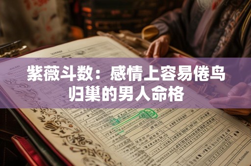 紫薇斗数：感情上容易倦鸟归巢的男人命格