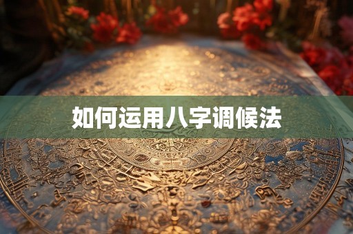 如何运用八字调候法