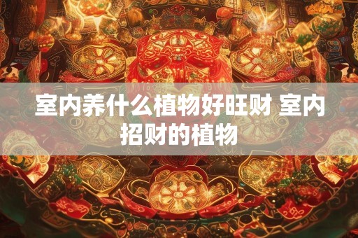 室内养什么植物好旺财 室内招财的植物
