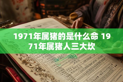 1971年属猪的是什么命 1971年属猪人三大坎