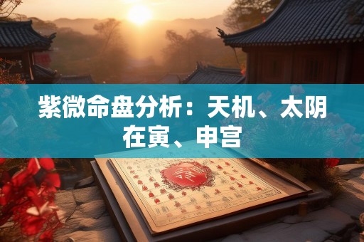 紫微命盘分析：天机、太阴在寅、申宫
