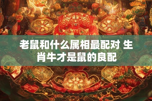 老鼠和什么属相最配对 生肖牛才是鼠的良配
