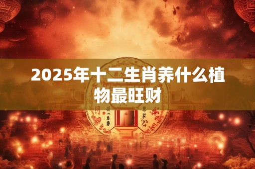2025年十二生肖养什么植物最旺财