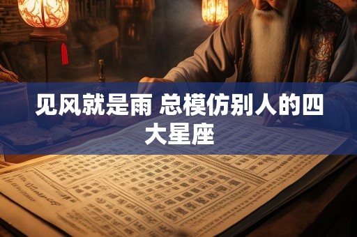 见风就是雨 总模仿别人的四大星座