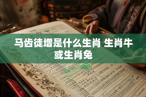 马齿徒增是什么生肖 生肖牛或生肖兔