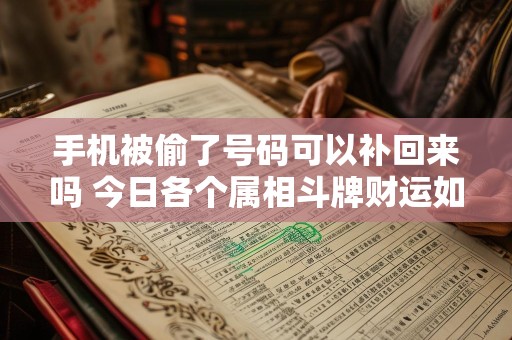 手机被偷了号码可以补回来吗 今日各个属相斗牌财运如何