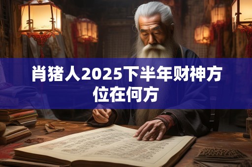 肖猪人2025下半年财神方位在何方