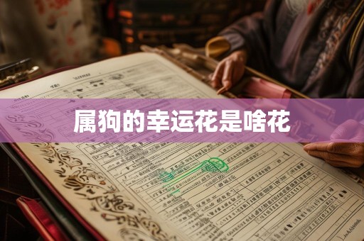 属狗的幸运花是啥花