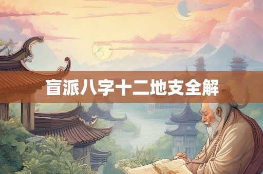 盲派八字十二地支全解
