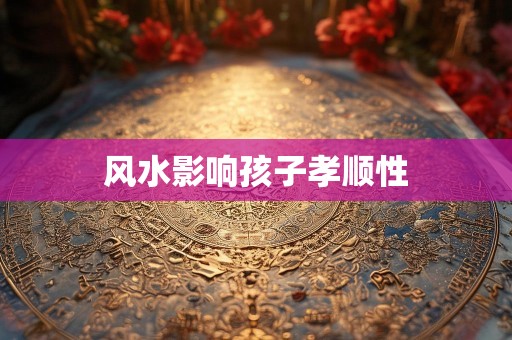 风水影响孩子孝顺性