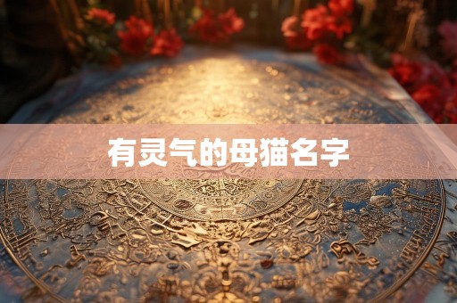 有灵气的母猫名字