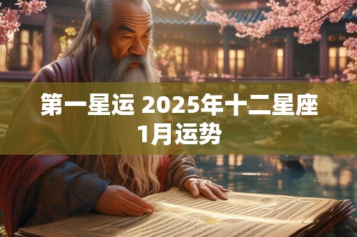 第一星运 2025年十二星座1月运势