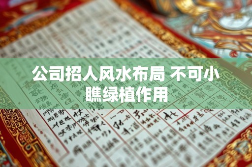 公司招人风水布局 不可小瞧绿植作用