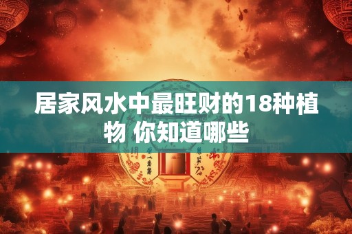 居家风水中最旺财的18种植物 你知道哪些