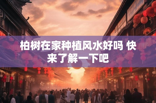 柏树在家种植风水好吗 快来了解一下吧