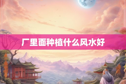 厂里面种植什么风水好