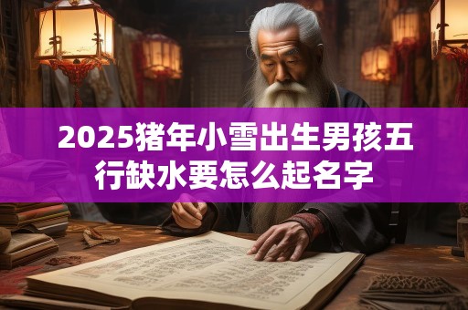 2025猪年小雪出生男孩五行缺水要怎么起名字