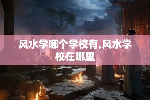 风水学哪个学校有,风水学校在哪里