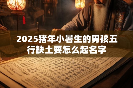 2025猪年小暑生的男孩五行缺土要怎么起名字