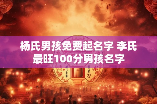 杨氏男孩免费起名字 李氏最旺100分男孩名字