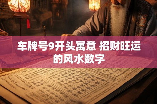 车牌号9开头寓意 招财旺运的风水数字