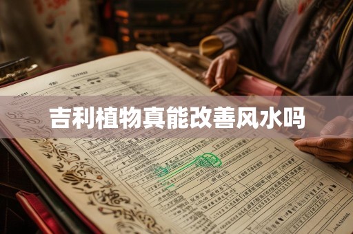 吉利植物真能改善风水吗