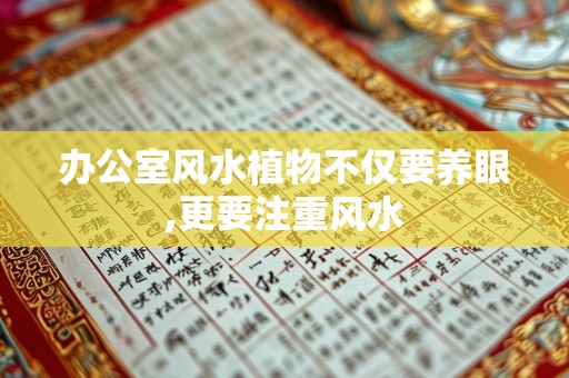办公室风水植物不仅要养眼,更要注重风水