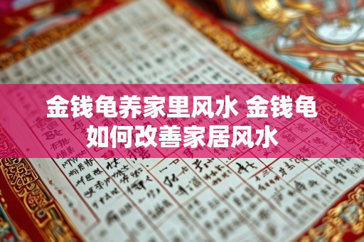 金钱龟养家里风水 金钱龟如何改善家居风水