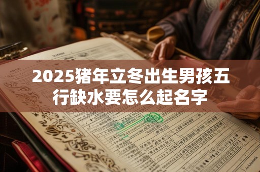 2025猪年立冬出生男孩五行缺水要怎么起名字