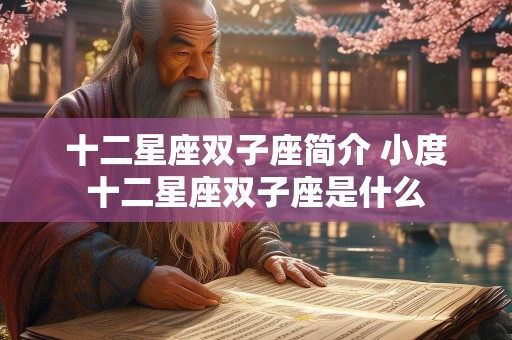 十二星座双子座简介 小度十二星座双子座是什么