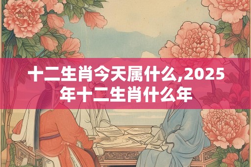 十二生肖今天属什么,2025年十二生肖什么年