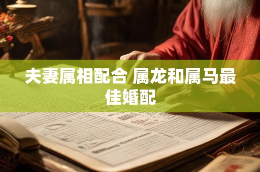夫妻属相配合 属龙和属马最佳婚配