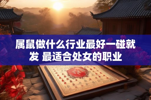 属鼠做什么行业最好一碰就发 最适合处女的职业