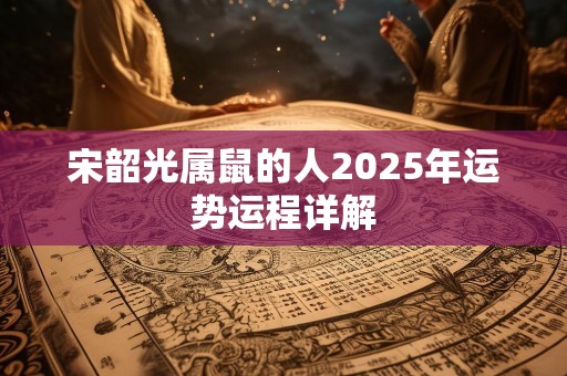 宋韶光属鼠的人2025年运势运程详解