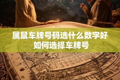属鼠车牌号码选什么数字好 如何选择车牌号