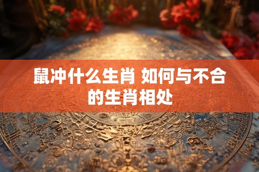 鼠冲什么生肖 如何与不合的生肖相处