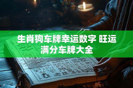 生肖狗车牌幸运数字 旺运满分车牌大全