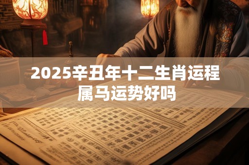 2025辛丑年十二生肖运程 属马运势好吗