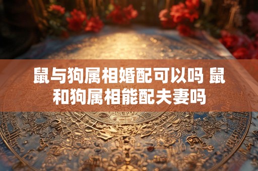 鼠与狗属相婚配可以吗 鼠和狗属相能配夫妻吗