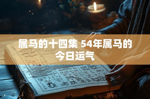 属马的十四集 54年属马的今日运气