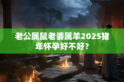 老公属鼠老婆属羊2025猪年怀孕好不好？