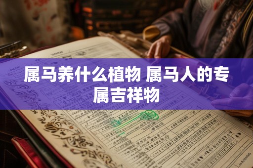 属马养什么植物 属马人的专属吉祥物